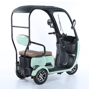 Người Lớn Tiện Ích Mái 3-Bánh Xe Trike Xe Kéo Eléctrico Wheeler 1000W EEC Điện Ba Bánh Hàng Hóa Hành Khách Xăng Xe Điện - Product Image 4