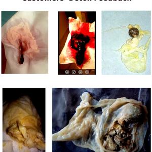 Perlas Yoni ChinaHerbs, Alternativa a los Tampones para la Limpieza Vaginal, para la Salud Femenina Natural, Perlas Vaginales Originales, Productos Femeninos - Product Image 3