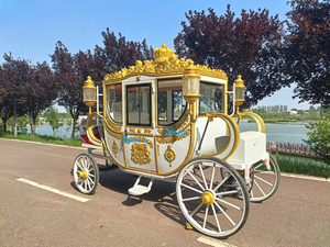 Low Speed Electric Prince Carriage/Scenic Spots Wedding Carriage/High Quality Royal Carriage for Sale - Product Image 6