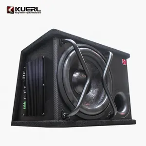 Factory direct sale hot model automobile subwoofer 12V active 12 inch subwoofer for car