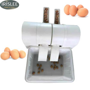 Machine à laver les œufs électrique, laveuse d'œufs de poulet, de <span class=keywords><strong>canard</strong></span>, d'oie, nettoyeur d'œufs, machine à laver, équipement d'élevage avicole - Product Image 1
