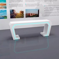 Nakashima Innovative Peinture Vitrine Comptoir Conception Personnalisable Creative Light Display Table Optimal Technology Exhibition Hall