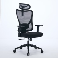 Chaise de bureau ergonomique à dossier haut, chaise de direction, accoudoirs réglables, appui-tête, fabriquée en PP durable, moderne, soutien lombaire 2D, grande taille, maille