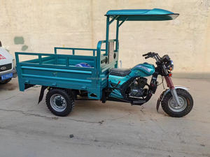 Tricycle à essence 3 roues 2026 le plus récent pour passagers et marchandises avec auvent, tricycle motorisé double usage avec abri contre la pluie - Product Image 3