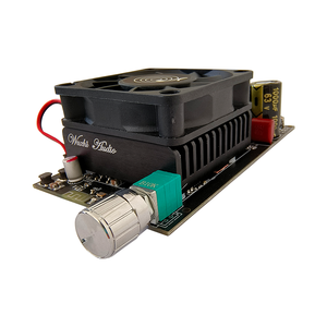 WUZHI AUDIO ZK-3002B 300W + 300W 디지털 앰프 보드 고출력 스테레오 2.0 듀얼 채널 TPA3255 (프론트 엔드 증폭 포함) - Product Image 1