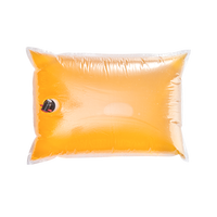 Liquide personnalisé 3L 5L 10L 5KG 20KG boisson eau café bec en plastique Transparent Cartoon Liner emballage IBC sac en boîte pour le vin