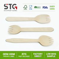 Ensemble de cuillères et fourchettes jetables en bois de bouleau de 160 mm, biodégradables, compostables, écologiques, robustes, pour mariage et fête