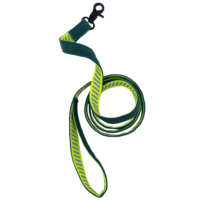 Vente en gros d'articles de luxe de créateurs pour animaux de compagnie gilet à nœud fluorescent ensemble de vêtements pour animaux de compagnie été avec laisses