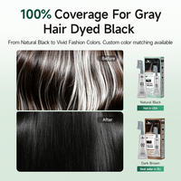 Crème colorante capillaire en plastique OEM ODM, noire permanente à base de plantes, sans PPD, coloration capillaire organique, couverture des cheveux gris, marque privée, vente en gros