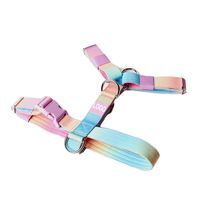 Nouvel ensemble de harnais, laisse et collier tactique de luxe personnalisé pour chien, en nylon dégradé, réglable, avec boucle métallique et rembourrage doux, pour lapins