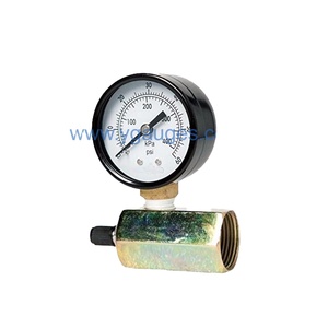 Air Testing Gauge With Chromed Mount and Mechanical Bourdon Tube