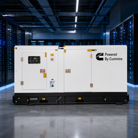 Groupe électrogène diesel silencieux insonorisé 60Hz 128kW 160kVA avec ATS pour alimentation de secours industrielle et commerciale