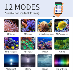 <span class=keywords><strong>Lampe</strong></span> <span class=keywords><strong>LED</strong></span> WEEK AQUA pour <span class=keywords><strong>aquarium</strong></span>, lumière bleue pour récif, lumière marine pour corail, <span class=keywords><strong>lampe</strong></span> pour <span class=keywords><strong>eau</strong></span> salée et <span class=keywords><strong>eau</strong></span> douce, pour <span class=keywords><strong>aquarium</strong></span> <span class=keywords><strong>de</strong></span> récif <span class=keywords><strong>de</strong></span> <span class=keywords><strong>mer</strong></span> rouge - Product Image 4