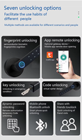 Serrure Intelligente Cloud pour Porte en Bois et Aluminium Anti-Givre avec Contrôle via l'Application Tuya, Fabrication Originale, Plusieurs Modes de Déverrouillage
