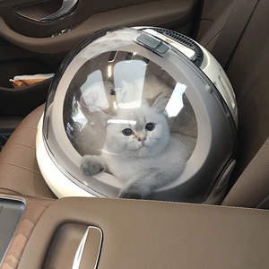 حقيبة قطة قفص فضاء ، كبسولة محمولة للكلاب والحيوانات الأليفة ، صندوق طيران مزدوج الغرض بتصميم عش القط - Product Image 1