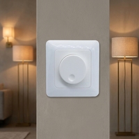 Variateur mural rotatif Triac certifié CE 400W, contrôle de luminosité 220V pour lampes LED et halogènes dimmables