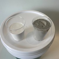 Peinture imperméable à base de ciment JS en gros, résistante au chlore, revêtement antidérapant pour terrasse de piscine, couleur personnalisable pour les murs