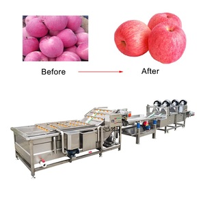 Ligne de traitement et de nettoyage des fruits et légumes entièrement automatique avec <span class=keywords><strong>machine</strong></span> <span class=keywords><strong>à</strong></span> <span class=keywords><strong>laver</strong></span> les pommes <span class=keywords><strong>à</strong></span> bulles d'air et équipement de drainage par vibration en SUS304 - Product Image 1