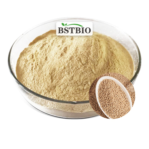 Bstbio cấp thực phẩm men Beta Glucan 70% 80% 90% men chiết xuất bột - Product Image 1