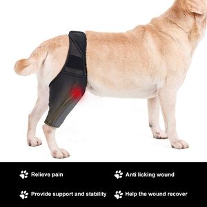 Pet Furniture Adjustable Breathable Pet Knee and <b>Thigh</b> Brace for Dogs - Joint Injury Recovery and Post-Surgery Immobilization - Product Image 3