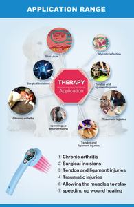 Terapia quântica para animais Pet Dog Artrite Pain Relief Wand LLLT Baixo Nível Laser Cavalo Tratamento Conjunto Médico Veterinário - Product Image 5