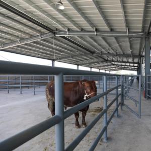 Proyecto Llave en Mano para Mataderos de Ganado que Incluye Construcción Civil, Instalaciones de Almacenamiento en Frío y Equipos para Líneas de Sacrificio - Product Image 1