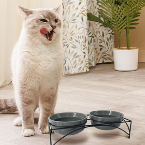 Juego de comederos dobles elevados Utung para perros y gatos, para comida y agua, diseño moderno con soporte. - Product Image 2