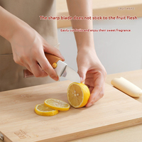 Couteau à fruits 2 en 1 en acier inoxydable, avec étui de protection et design pliable pour la cuisine et les voyages