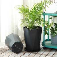 Pot de fleur épaissi en plastique simple de grande taille pour l'arbre de sang de dragon et le paradis des oiseaux pour le sol dans le salon