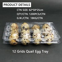 12 trous oeufs de caille plateau d'emballage boîte emballage pour oeufs de caille en plastique blister plateau d'oeufs de caille