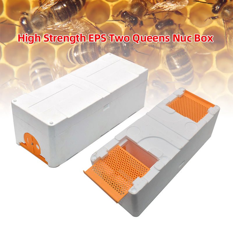 High Strength EPS Double Nuc Boxes Polystyrene Two Bee Queen Rearing Mating Nucs