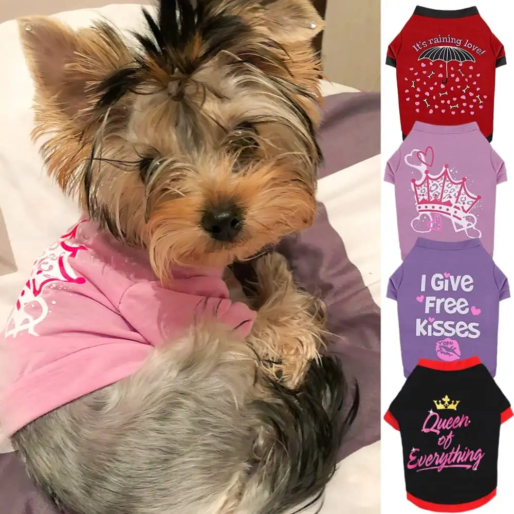 Wholesale Pet Clothing Small Dogs Girl Spring Summer Pet Clothes Cute Letter Print Puppy Cat Dog T-Shirt