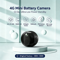 Mini caméra 4G, capteur CMOS 2MP, longue autonomie, faible consommation d'énergie, caméra de sécurité réseau, enregistrement de mouvement, vision nocturne, domicile