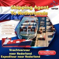 Agente de Transporte Marítimo en Holanda, Puerto de Cebú, Transitario Internacional de Carga