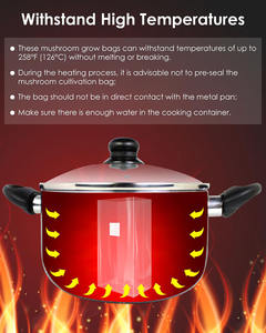 カスタムロゴデザイン余分な厚いオートクラバブルキノコは、微孔性フィルターパッチ付きバッグを成長させる大型耐久性のあるビニール袋 - Product Image 4