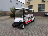 Voiture de chasse classique vintage pour adulte, chariot de plage, buggy de golf rétro, buggy de chasse pour la plage et les excursions panoramiques