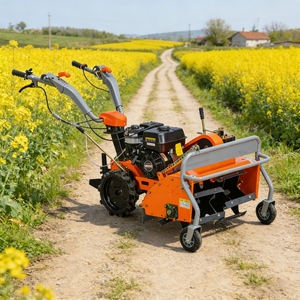 Broyeur <span class=keywords><strong>d</strong></span>'herbe Newpanda chinois 12HP 190F à moteur essence, haute productivité, pour vergers, garantie 1 an, meilleurs <span class=keywords><strong>prix</strong></span> - Product Image 1