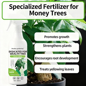 <span class=keywords><strong>Engrais</strong></span> Spécialisé pour Arbres à Argent Solution Nutritive - Product Image 4