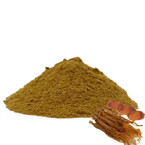 High Quality Red Ginseng Extract 80% Ginsenoside Red Ginseng Root Extract