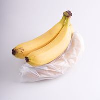 Gobelet en papier translucide vert Emballage de fruits en verre coloré pour fraises Dattes Pommes Étanche à l'humidité Simple pour le lait