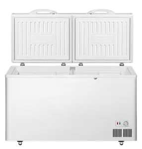 Big capacity double door chest/deep/vertical freezer