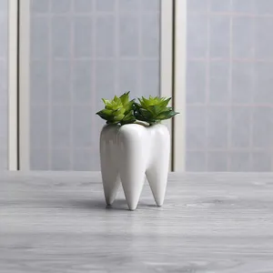 Promotional Gifts Teeth Shape Ceramic Vase Green Succulent Planters Container Holder Flower Pot