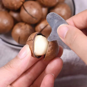 500g Dried <strong>Macadamia</strong> <strong>Nuts</strong> Bulk Wholesale Cream Flavor Annual Goods - Product Image 4