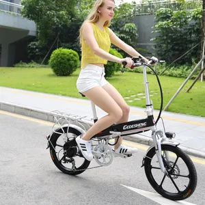 Ebike katlanabilir elektrikli bisiklet elektrikli bisiklet 300w Motor lityum pil elektrikli şehir bisikleti