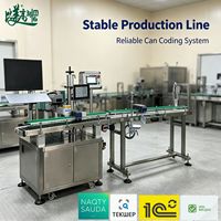 Machine de marquage laser CO2 stable : impression de codes clairs sur les boîtes de lait en poudre avec téléchargement en temps réel des données de codes et enregistrement rapide dans la base de données centrale