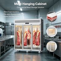 Armoire de maturation verticale commerciale à double porte pour viande, avec fonction de désacération et de maintien au frais, prix usine personnalisé