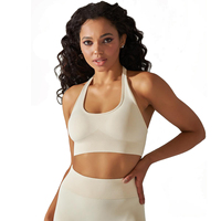 Sujetador Deportivo Transpirable de Secado Rápido para Mujer, Talla Grande, con Tirantes Cruzados en la Espalda, para Gimnasio, Fitness, Yoga, Personalizado, de Alta Calidad, 220 Gramos