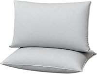 Oreillers de luxe pour hôtel, qualité supérieure, soutien dorsal, taille Queen, lot de 2, garnissage en duvet, anti-acariens, anti-escarres, housse en coton 300 fils
