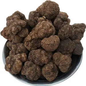 China Dry Wild Mushroom Frozen Export Frozen Dry Black Truffle