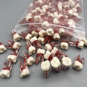 Modèle d'entraînement endodontique avec couronne blanche, nerf rouge, racine naturelle, modèle de pratique endodontique, cavité pulpaire, modèle dentaire d'entraînement endodontique - Product Image 4